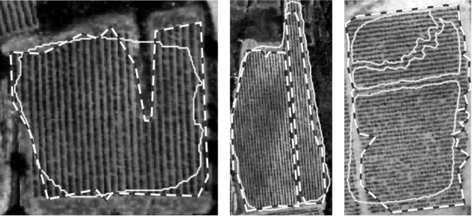 Fig. 3. Parcel boundaries improvement thanks to row adjustment (left), elimination (middle) and addition (right)