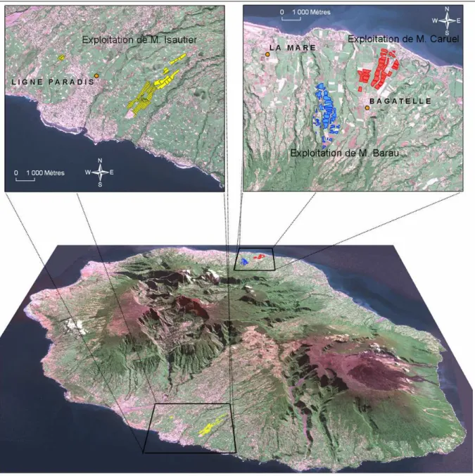 Figure 6. Localisation des exploitations de M.Barau, M. Caruel et M.Isautier sur l’île de la Réunion, et des  stations météorologiques