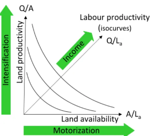 Figure 1. An alternative representation of land  and labour productivity pathways 
