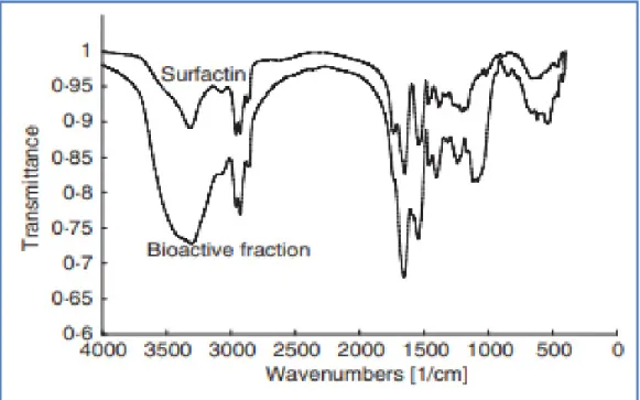 Figure 10: Spectres infrarouges à transformée de Fourier (FTIR) de la fraction bioactive purifiée par chromatographie liquide à haute performance (HPLC) du biosurfactant