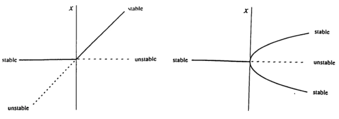 Figure  2-5:  Transcritical  and  pitchfork  bifurcations