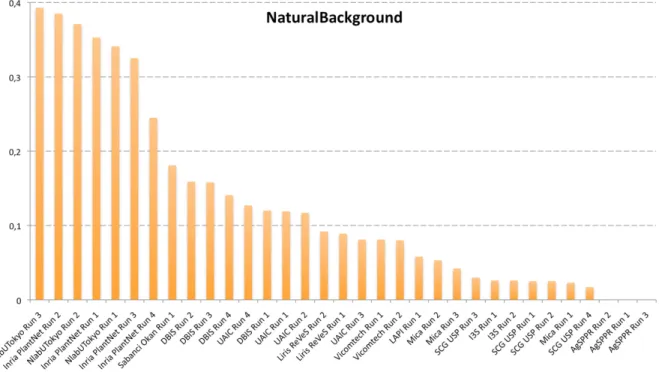 Figure 2: ImageCLEF 2013 - Results of the plant identification task (natural background)