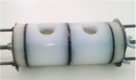 Figure II.7. La cellule de dialyse utilisée 