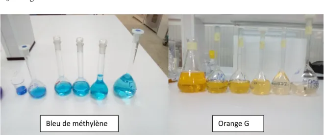 Figure 12 : Présenté les différentes dilutions d’orange G et de Bleu de méthylène. 