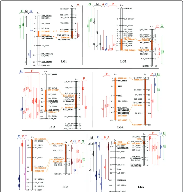 Figure 2 Detection of QTLs for wood properties and growth related traits on the genetic maps of E