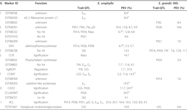 Table 4 Co-locations between candidate genes and QTLs in E. urophylla and E. grandis