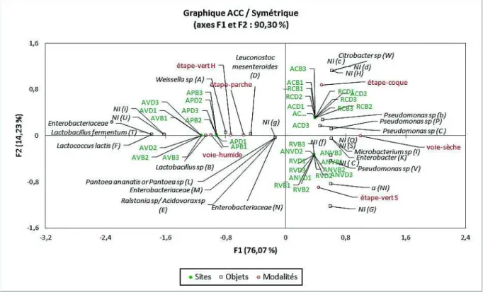 Figure 30 : /¶$QDO\VH&amp;DQRQLTXHGHV&amp;RUUHVSRQGDQFHV$&amp;&amp;GHVSURILOVG¶$'1%DFWpULHQ PRQWUDQWO¶HIIHWGHVpWDSHVGXWUDLWHPHQWGXFDIp$3FDIpSDUFKH$9FDIpYHUWREWHQXSDU