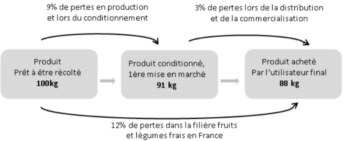 Figure 1 : Estimation des pertes alimentaires dans la filière fruits et légumes française (Interfel, 2015) 