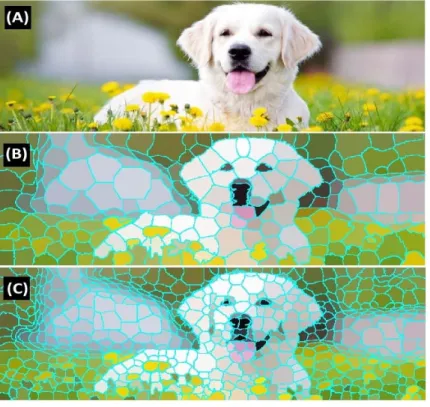 Figure 2. 4: Super-pixellisation d'une image.(A) image originale (B) Super-pixellisation  en 200 super-pixels (C) Super-pixellisation en 600 super pixels.