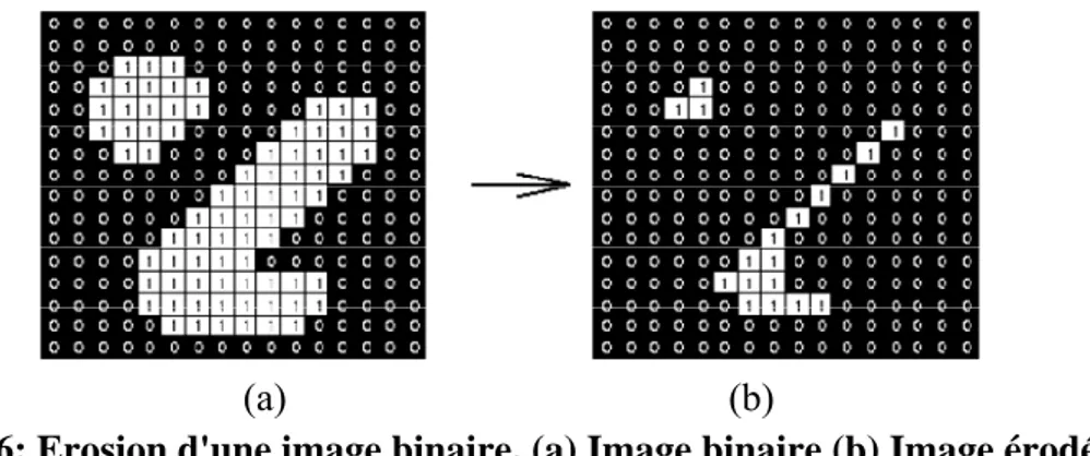 Figure 2. 6: Erosion d'une image binaire. (a) Image binaire (b) Image érodée.