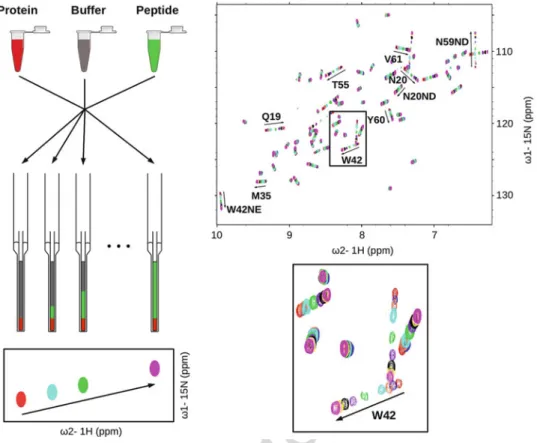 Fig. 3 Preparation of capillary tubes (left) for 1 H– 15 N HSQC measurements (right). The insert shows a close-up on the effect of increasing amounts of peptide on the cross peak corresponding to the backbone amide proton of Tryptophan 42, which is located
