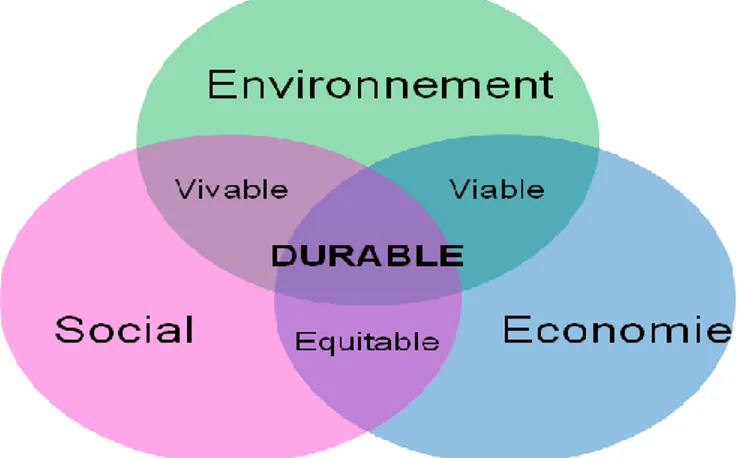 Figure 01 : Schéma représentatif de la notion du développement durable. 