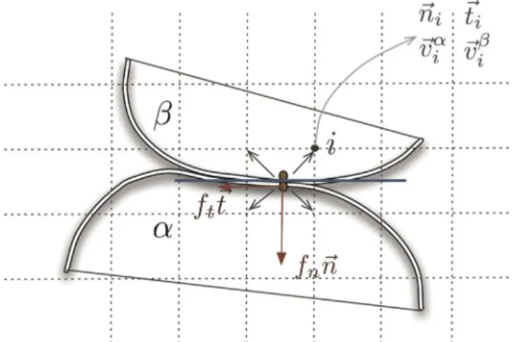 Fig. 2. Geometry of contact between two soft particles discretized in multi-mesh MPM algorithm; see text.