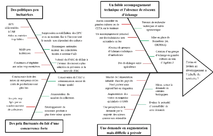 Figure 2 : Freins et leviers au développement de l’AB en Camargue, à l’échelle du territoire 