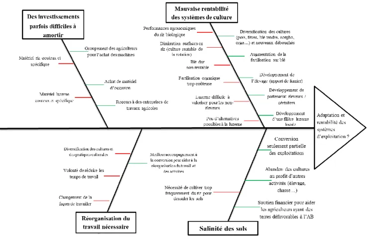Figure  1 :  Freins  à  la  conversion  à  l’AB  des  exploitations  camarguaises  (en  rouge)  et  leviers  (en  vert)  pour  améliorer l’adaptation et la rentabilité des systèmes d’exploitation en AB