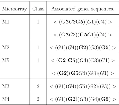 Table 2: Gene sequences for 5 microarrays and 2 classes. The microarrays M1, M2 and M5 are associated with the class 1 and M3 and M4 are associated with the class 2