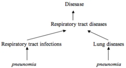Fig. 2. An example of the MeSH thesaurus
