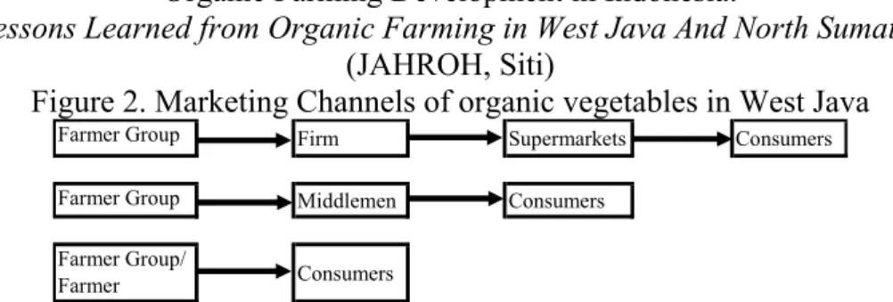 Figure 2. Marketing Channels of organic vegetables in West Java 