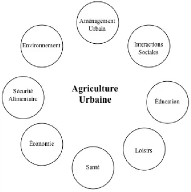 Figure 1. Multifonctionnalité de l’agriculture urbaine 