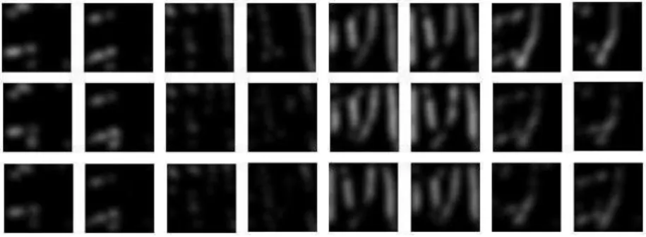 Figure 11: Blurred images (not down-sampled) of the direction planes in Fig. 8.
