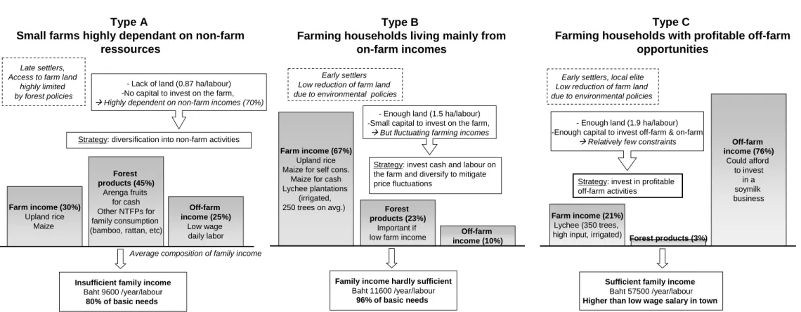 Figure 3. Typology of the three main types of farming households in two Yao villages of Nan Province, 2006 2 .