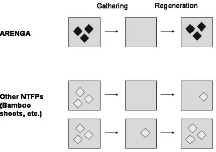 Figure 7. Rules for the regeneration of forest products (Arenga fruits and other NTFPs) in the  Role-Playing Game conducted in two Mien villages of Nan Province, June 2006