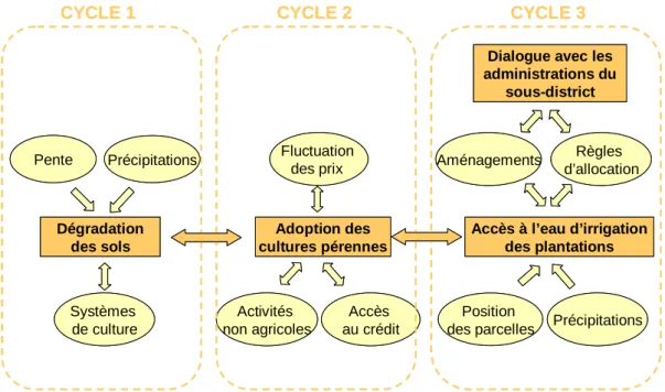 Figure 2. Evolution des interactions clefs discutées au cours des trois cycles Commod