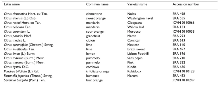 Table 1: Citrus accessions used in this study for STMS screening maintained at the Corsican citrus germplasm.