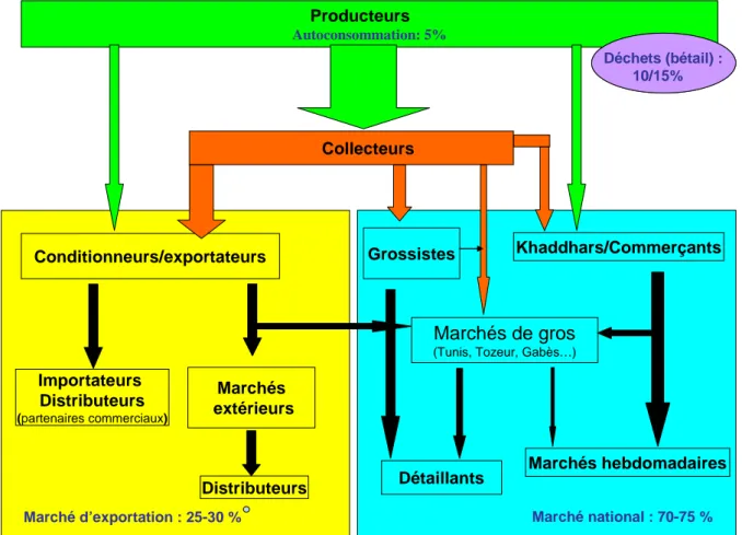 Figure 2. Structuration des opérateurs dans la filière et répartition des volumes produits