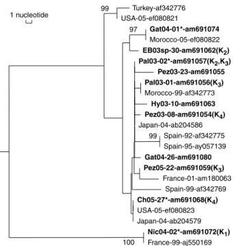 Figure 3 Rooted NJ tree showing the genetic distance among 744 bp cytochrome oxydase 1 fragments of Bemisia tabaci individuals, either sequenced in this study (in bold) or selected from Genbank