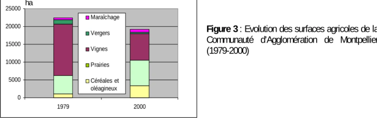Figure 3 : Evolution des surfaces agricoles de la  Communauté d’Agglomération de Montpellier  (1979-2000) 