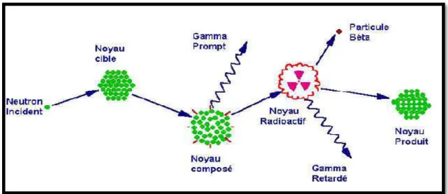 Figure II.1 : Diagramme illustrant le processus de la capture neutronique par un noyau cible  suivi d'une émission de rayon gamma (Greenberg et al, 2011)