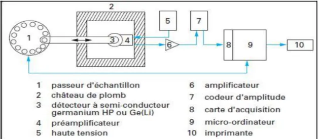 Figure III.3 : Schéma d’une installation de mesure des rayons γ utilisée en analyse par activation  neutronique (Revel, 1999)