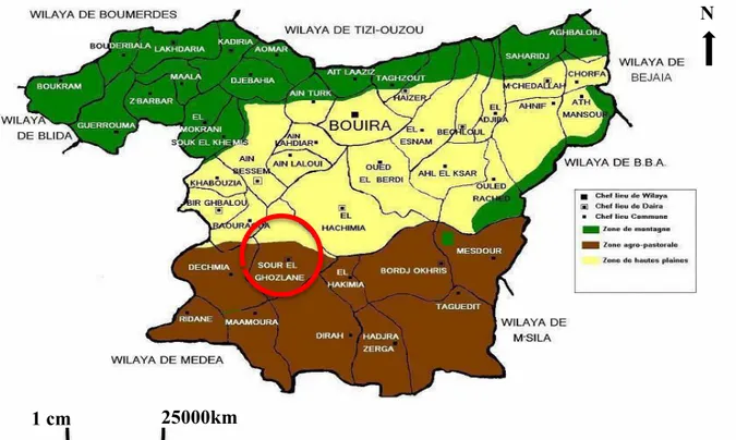 Figure 04 : Localisation de la commune de Sour El Ghozlane (Wilaya de Bouira)  (ANIREF, 2011)