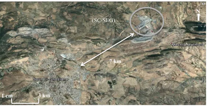 Figure 05 : Vue aérienne de la situation de la cimenterie (SC-SEG) (Source : Google  Earth, 2017)
