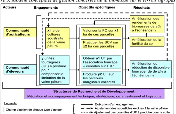 Figure 3. Modèle conceptuel de gestion concertée de la biomasse sur le terroir agropastoral 