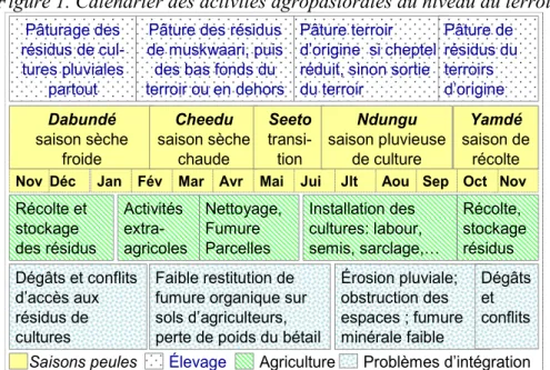 Figure 1. Calendrier des activités agropastorales au niveau du terroir 