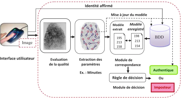 Figure 1. 3 :  Authentification d'un individu dans un système biométrique . 