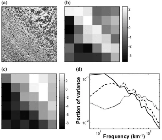 Figure 5. Mapping texture variation within a particular sub-photo of 1 km. (a) Overall aspect