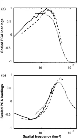 Figure 6. Contribution of spatial frequencies to PCA axes for three distinct sizes of windows