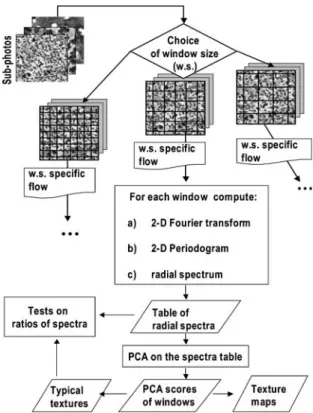 Figure 1. Flow diagram describing the successive stages in- in-volved in textural ordination