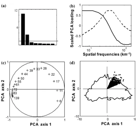 Figure 2. Main results of the Principal Component Analysis (PCA) for a window size of 180 m