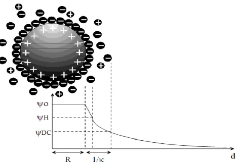 Figure IV.1 : Double couche et variation du potentiel électrostatique autour d’une sphère