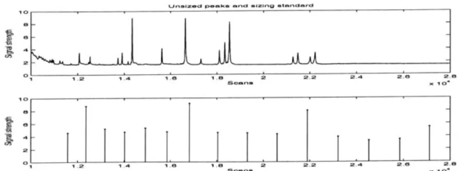 Figure  3-2:  Time  profile  expressed  as  voltage  versus  time  in  scans.  The  peaks  in  the top  panel correspond  to  unsized  fragments  that  must  be  sized relative  to the  standard peaks  on  the  bottom  panel.