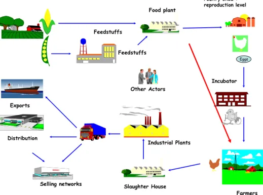 Figure 1: System representation: which limits and which objects and actors to include?  Feedstuffs Other Actors Food plant Slaughter House Industrial PlantsDistributionSelling networksExports Incubator Poultry shed :  reproduction level FarmersEggsFeedstuf