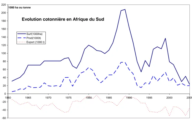 Figure 1. Evolution fluctuante et tendance baissière de la production cotonnière en Afrique du Sud  (Fluctuating evolution and downward trend of cotton production) 