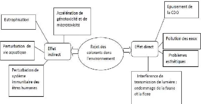 Figure 4 : Représentation schématique  des effets des effluents de  l’industrie textile sur l’environnement
