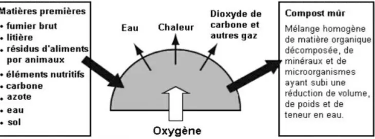 Figure 07 : Processus de compostage (Hieronymus ,2001) 