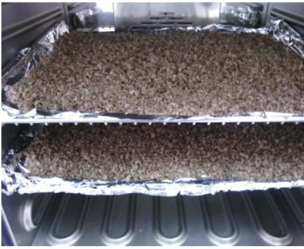 Figure III-4 : Séchage des épluchures de pomme de terre à 105 °C 