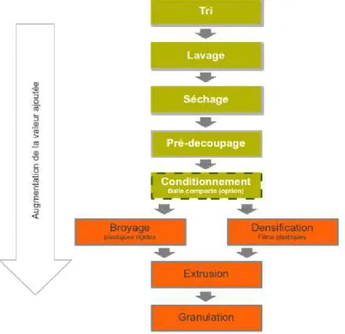 Figure I. 10: Schéma du processus standard de régénération. 